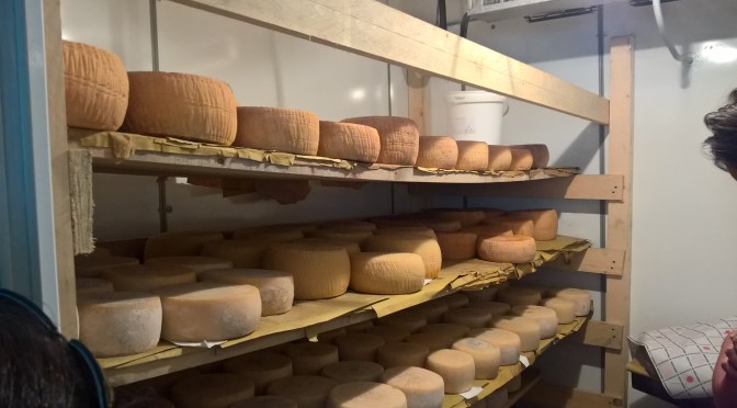 Incontro con i produttori nelle zone colpite dal terremoto