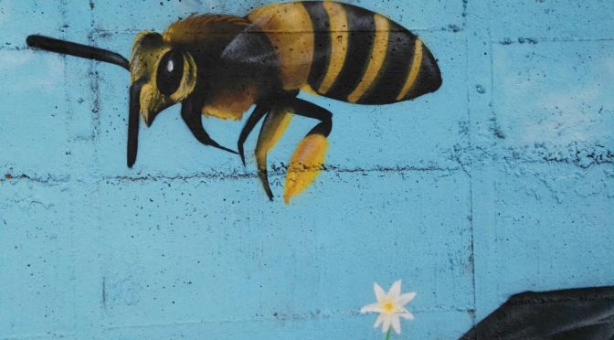 SALVIAMO LE API DI AMATRICE – Adotta un’azienda e sostieni “Miele per la Vita”