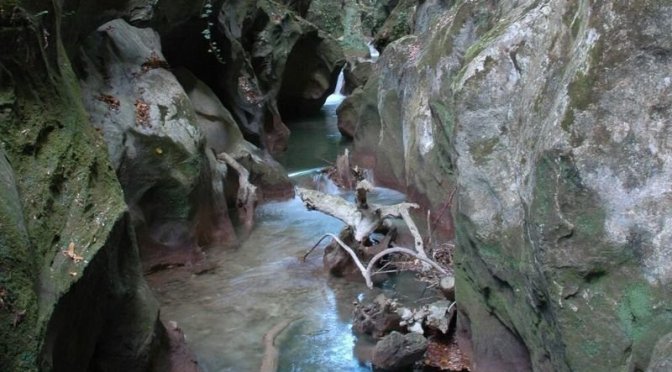 Salviamo il Fiume Farfa: firma la petizione