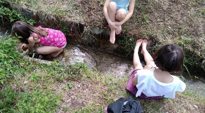 Scuola Natura 2018: due weekend residenziali di avventure nel bosco