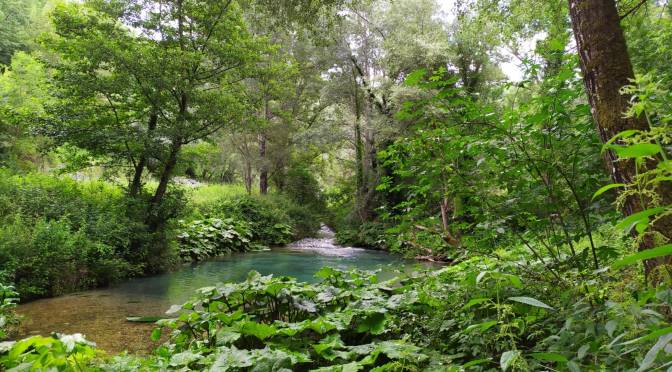Anniversario referendum 2011: continua il disastro ambientale sul Farfa, a rischio anche il Velino e Sabina ancora senz’acqua
