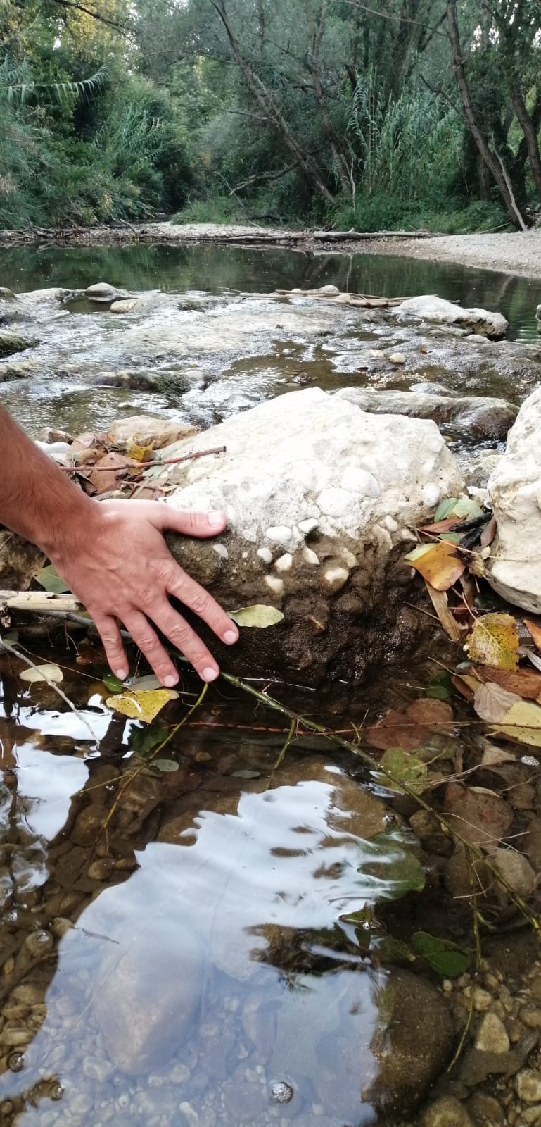 Farfa_16settembre2020